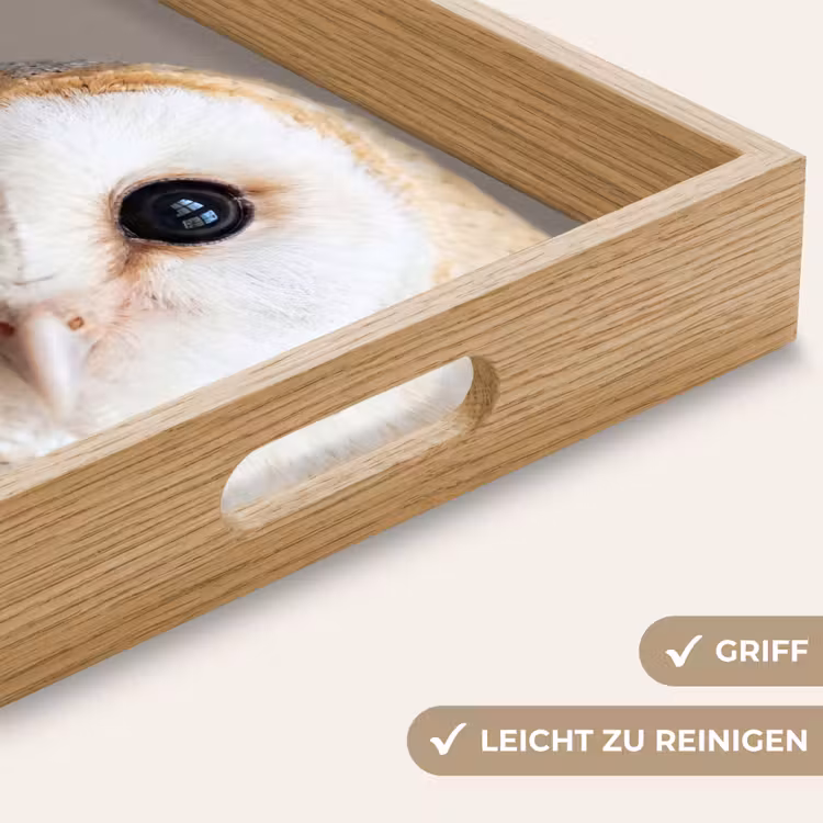 Uil - Bruin - Wit Dienblad Rechthoek middel -USP_HandgreepDE