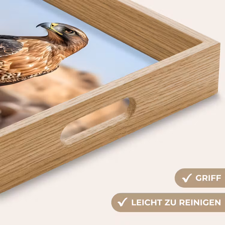Valk - Vogel - Rots - Macht Dienblad Rechthoek middel -USP_HandgreepDE
