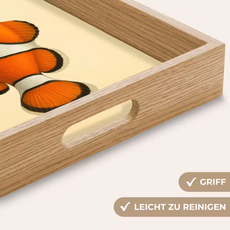 Vis - Oranje - Strepen Dienblad Rechthoek middel -USP_HandgreepDE