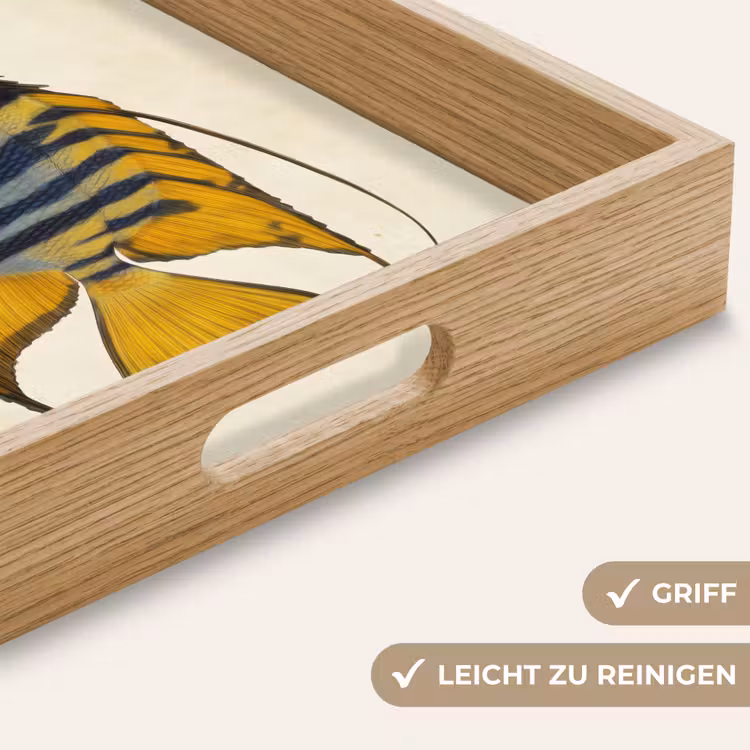 Vis - Sierlijk - Vinnen - Illustratie Dienblad Rechthoek middel -USP_HandgreepDE
