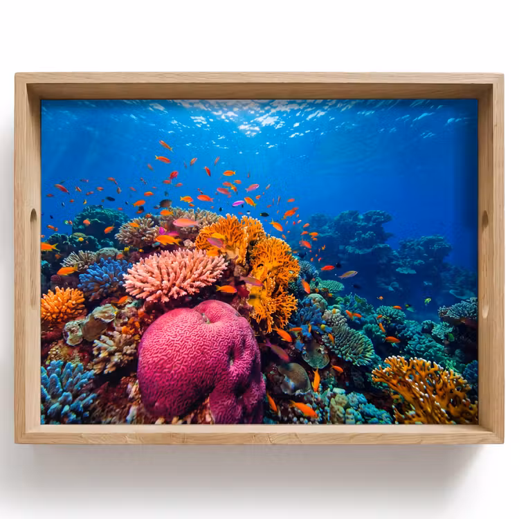 Koraal - Vissen - Oceaan - Natuur - Kleurrijk Dienblad Rechthoek middel -z3d_shopping