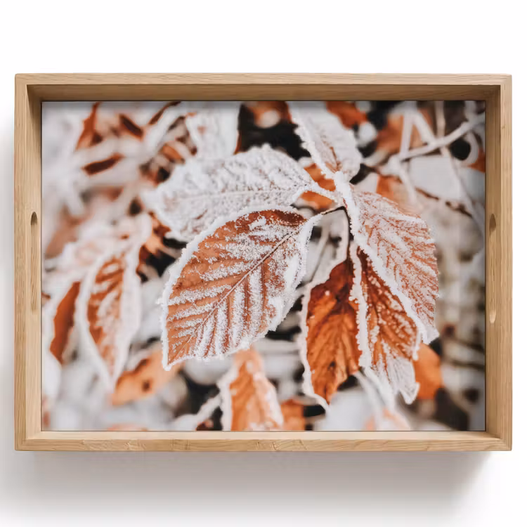 Bladeren - IJs - Winter - Natuur Dienblad Rechthoek middel -z3d_shopping
