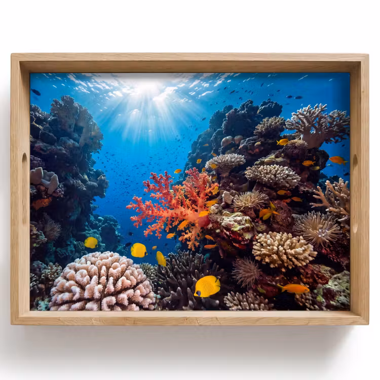Zee - Koraalrif - Natuur - Levendig - Blauw Dienblad Rechthoek middel -z3d_shopping