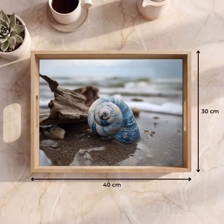Schelp - Strand - Blauw - Zee Dienblad Rechthoek middel -USP_Formaat