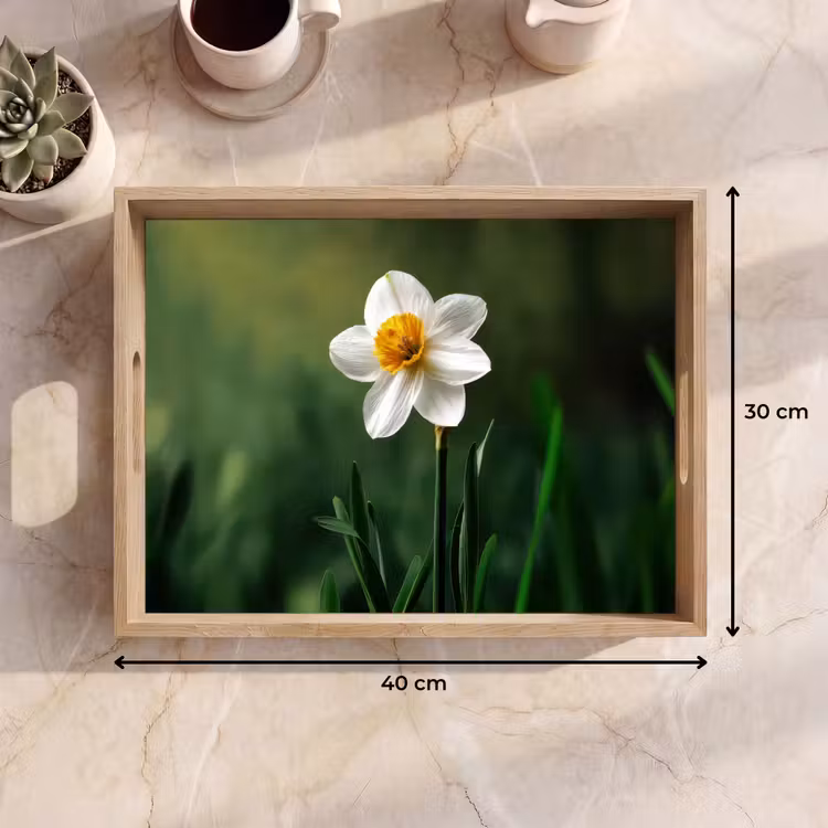 Narcis - Bloem - Wit - Grassprieten Dienblad Rechthoek middel -USP_Formaat