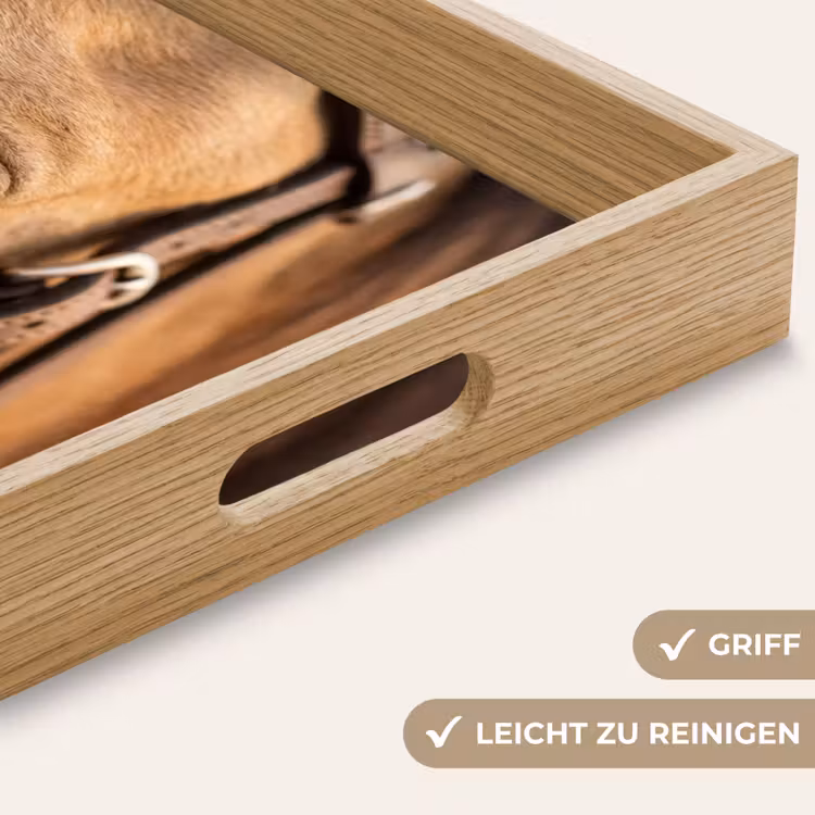 Paard - Oog - Bruin Dienblad Rechthoek middel -USP_HandgreepDE