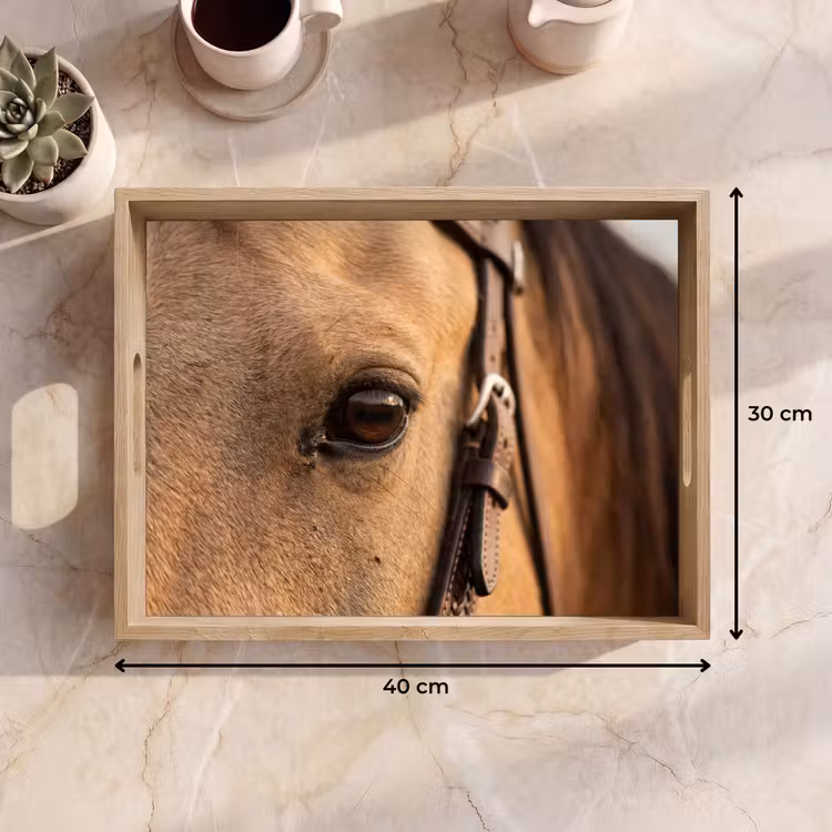 Paard - Oog - Bruin Dienblad Rechthoek middel -USP_Formaat