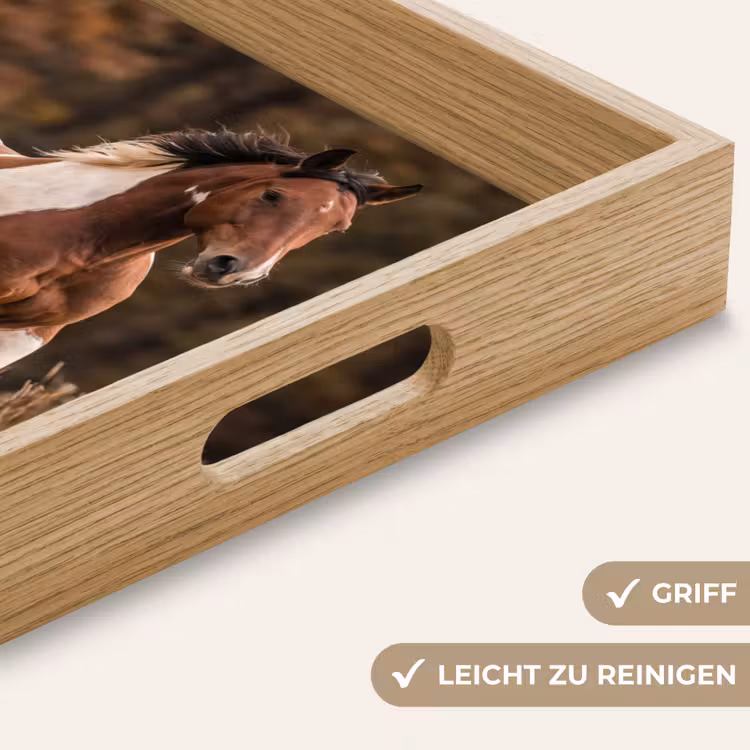 Paard - Bruin - Gras Dienblad Rechthoek middel -USP_HandgreepDE