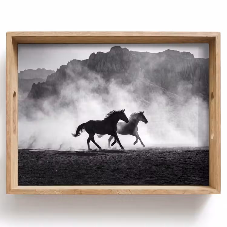 Paard - Ren - Stof - Zwart-wit - Dieren Dienblad Rechthoek middel -z3d_shopping