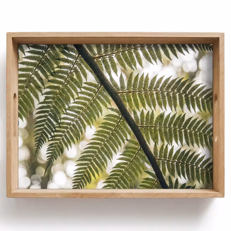 Plant - Blad - Natuur - Groen - Detail Dienblad Rechthoek middel -z3d_shopping