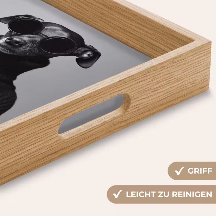 Coltrui - Hond - Bril - Mok Dienblad Rechthoek middel -USP_HandgreepDE