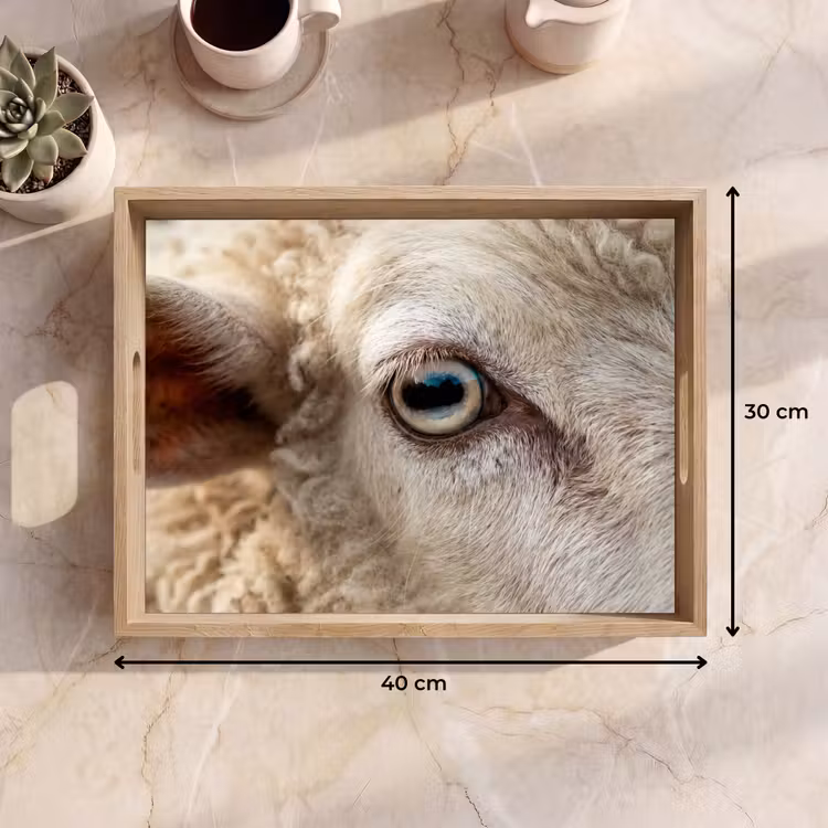Schaap - Oog - Wit Dienblad Rechthoek middel -USP_Formaat