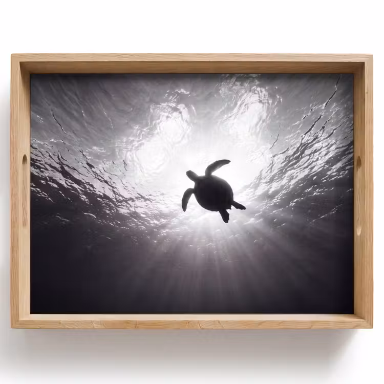 Schildpad - Onderwater - Lichtstralen - Oceaan - Zwart-wit Dienblad Rechthoek middel -z3d_shopping