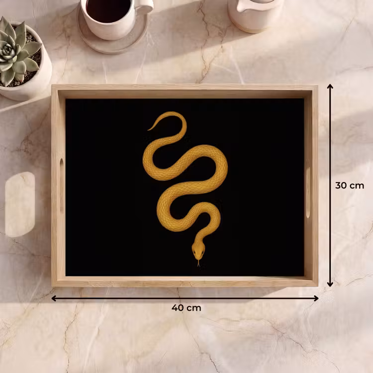 Slang - Minimalistisch - Goud Dienblad Rechthoek middel -USP_Formaat