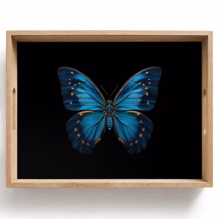 Vlinder - Blauw - Contrast Dienblad Rechthoek middel -z3d_shopping