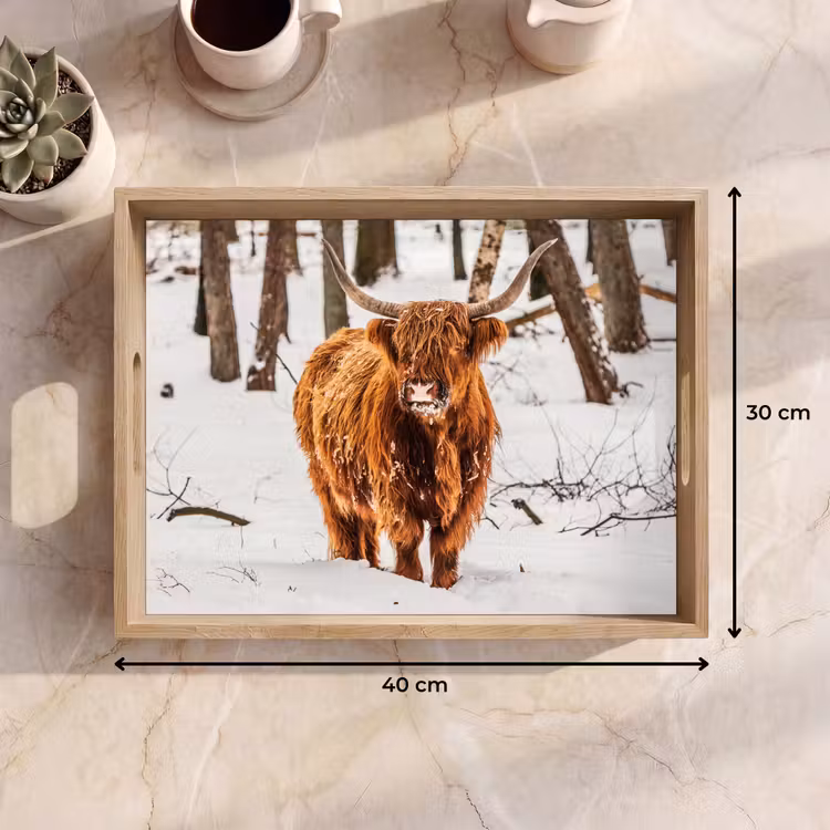 Schotse Hooglander - Sneeuw - Winter - Natuur - Dieren Dienblad Rechthoek middel -USP_Formaat