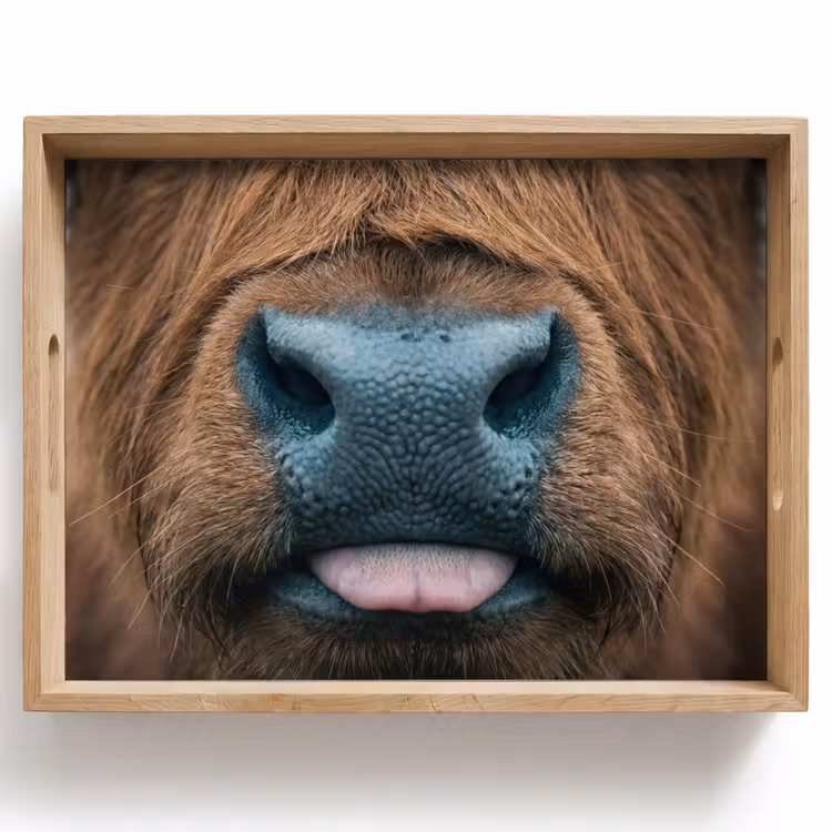 Schotse hooglander - Neus - Bruin Dienblad Rechthoek middel -z3d_shopping