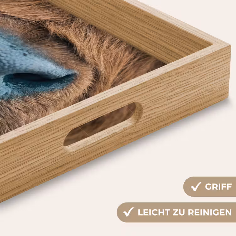 Schotse hooglander - Neus - Bruin Dienblad Rechthoek middel -USP_HandgreepDE