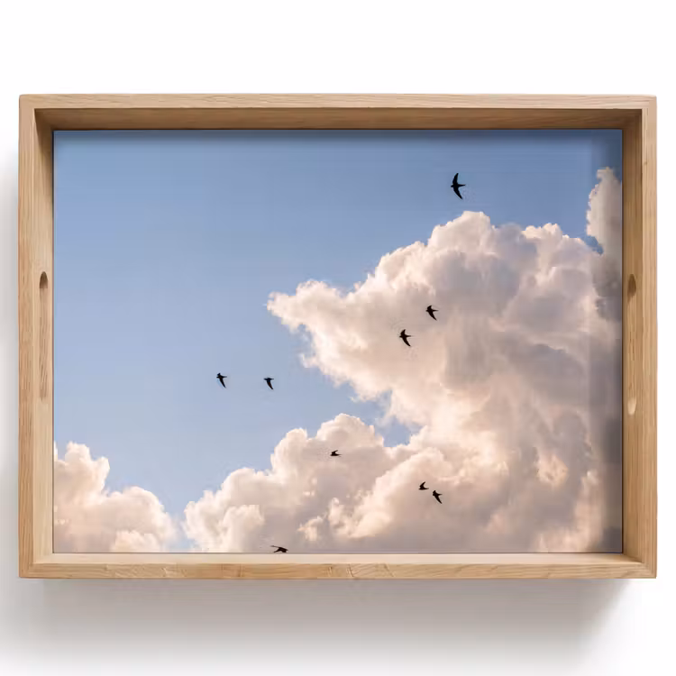 Vogel - Vlucht - Wolken - Natuur - Blauw Dienblad Rechthoek middel -z3d_shopping