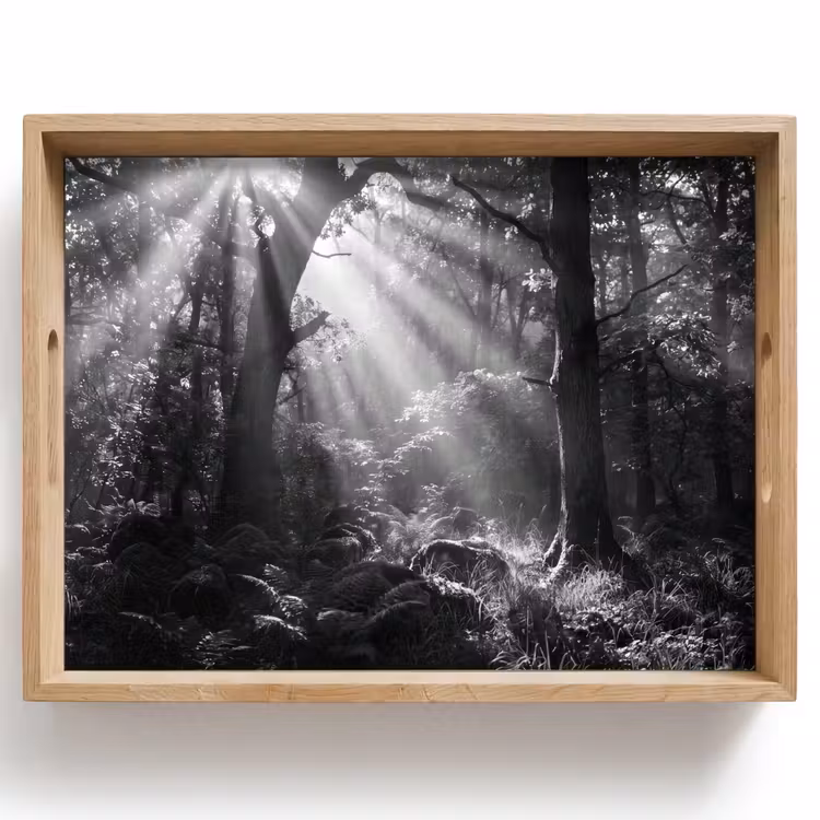 Bos - Lichtstralen - Natuur - Zwart-wit Dienblad Rechthoek middel -z3d_shopping