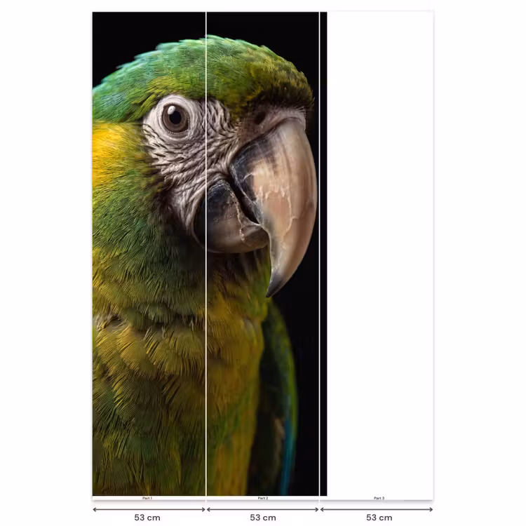 Ara - Portret - Groen Behang Vlies klein -USP_banen