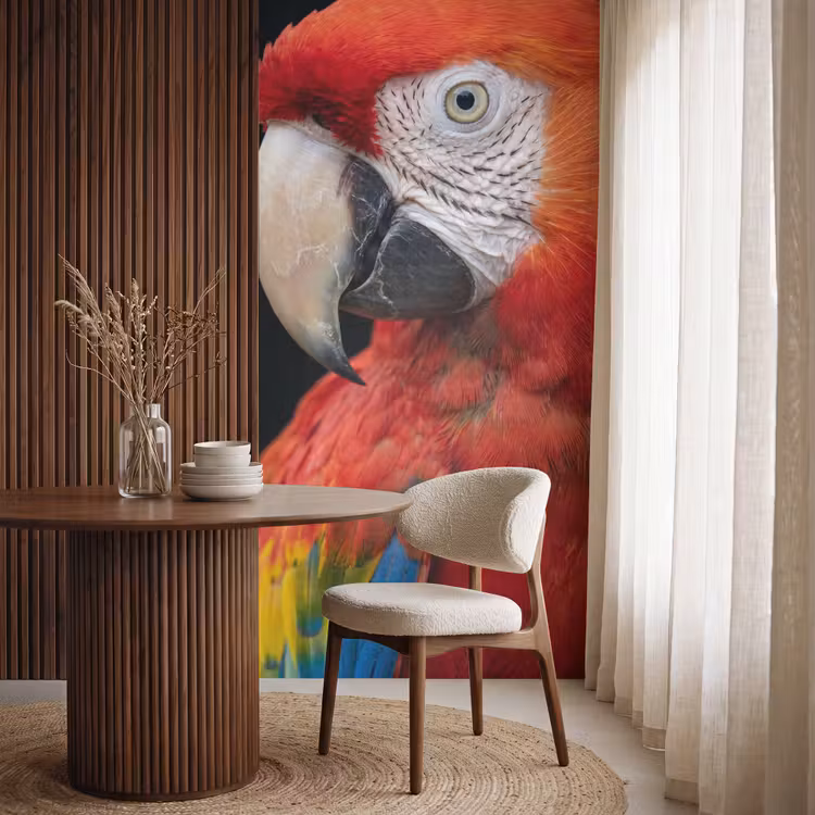 Ara - Portret - Rood Behang Vlies klein -sfeer1