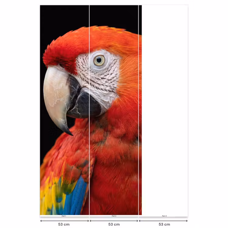 Ara - Portret - Rood Behang Vlies klein -USP_banen
