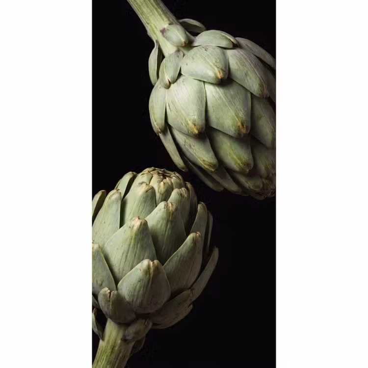 Tapete - Artischocke – Grün – Essen - Artisjok - Groen - Eten Behang Vlies klein