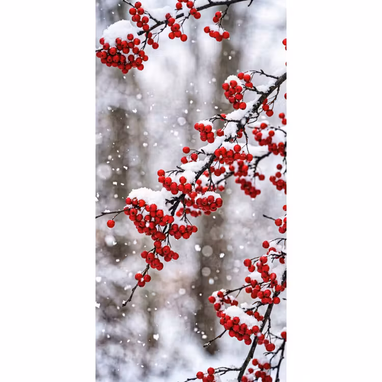 Bessen - Takken - Sneeuw - Winter - Kleurrijk Behang Vlies klein -3d_website