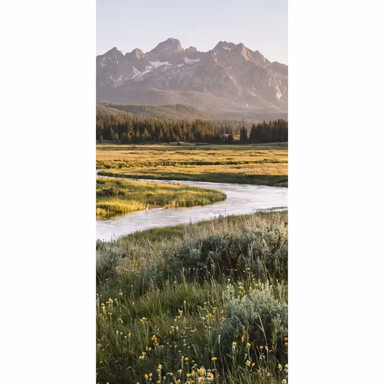 Berglandschap - Rivier - Bos Behang Vlies klein -3d_website