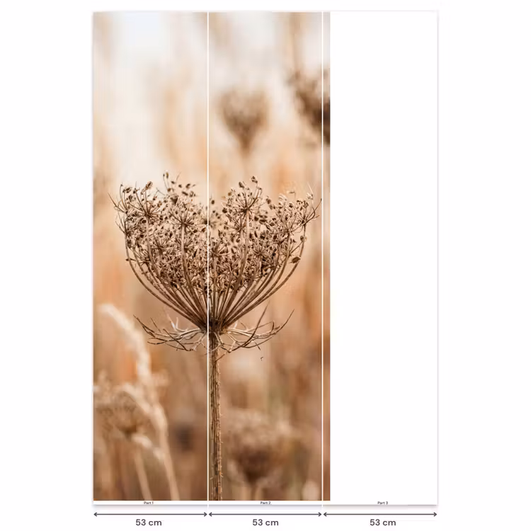 Schermbloem - Droogbloem - Winter - Beige - Minimalistisch Behang Vlies klein -USP_banen