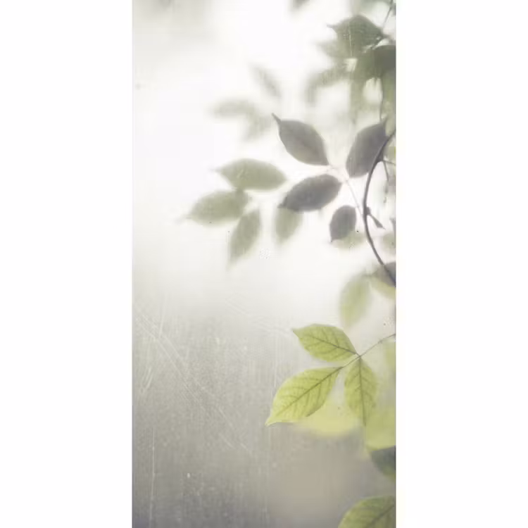 Blad - Schaduw - Natuur - Abstract - Groen Behang Vlies klein -3d_website
