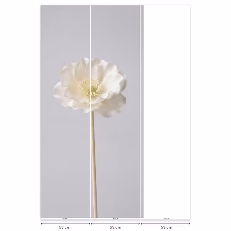 Bloem - Minimalistisch -Wit Behang Vlies klein -USP_banen