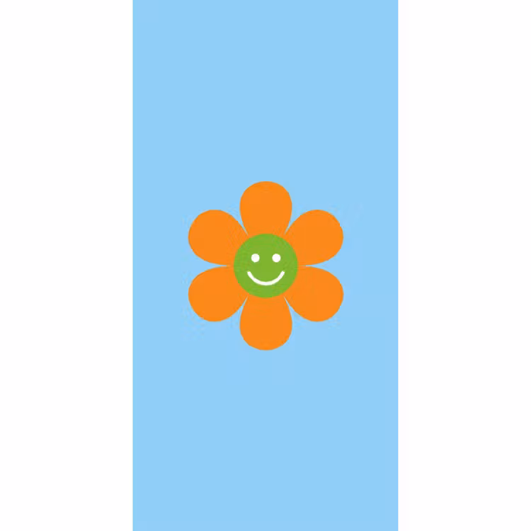 Bloem - Smiley - Kleurrijk Behang Vlies klein -3d_website