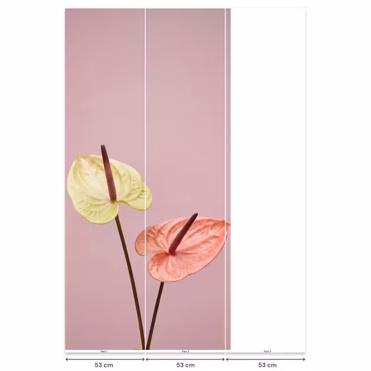 Bloemen - Anthuriums - Geel - Roze Behang Vlies klein -USP_banen