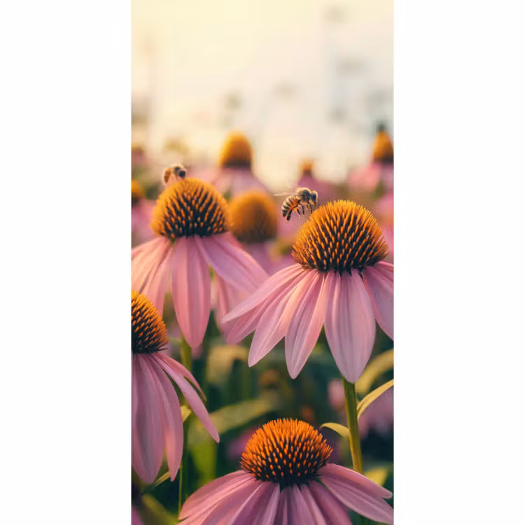 Bloemen - Paars - Bijen Behang Vlies klein -3d_website