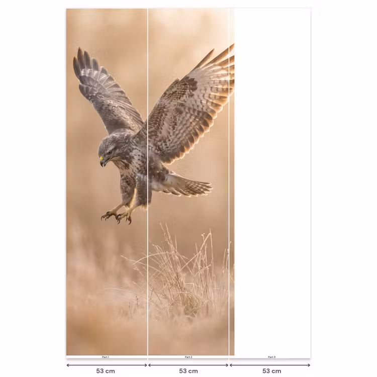 Buizerd - Roofvogel - Natuur - Bruin Behang Vlies klein -USP_banen