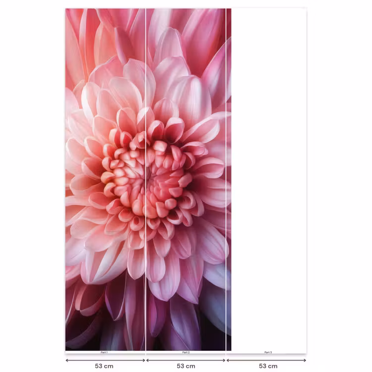 Dahlia - Bloem - Close up - Roze Behang Vlies klein -USP_banen