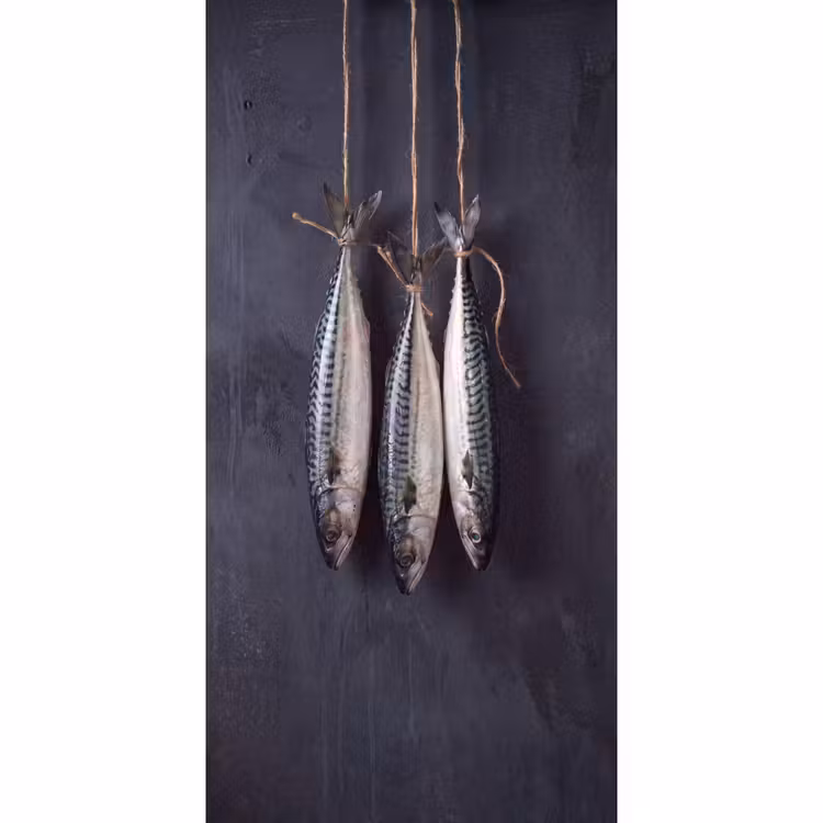 Tapete - Drei Fische – Seil - Drie vissen - Touw Behang Vlies klein