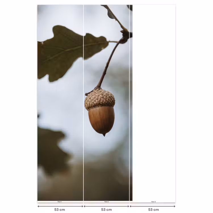 Eikel - Eikenblad - Bos - Herfst - Natuur Behang Vlies klein -USP_banen