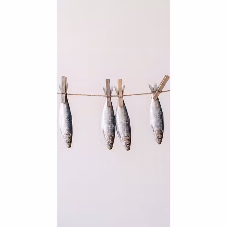 Tapete - Fisch – Hängend – Essen - Vis - Hangend - Eten Behang Vlies klein
