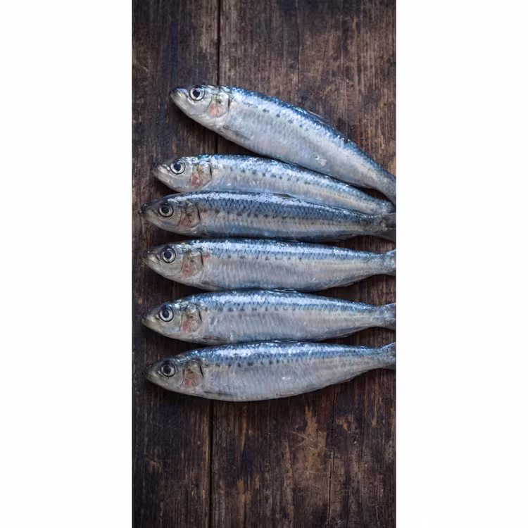 Tapete - Fisch – Holz – Essen - Vis - Hout - Eten Behang Vlies klein