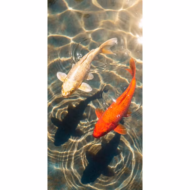 Vis - Water - Dieren - Oranje - Goud Behang Vlies klein -3d_website
