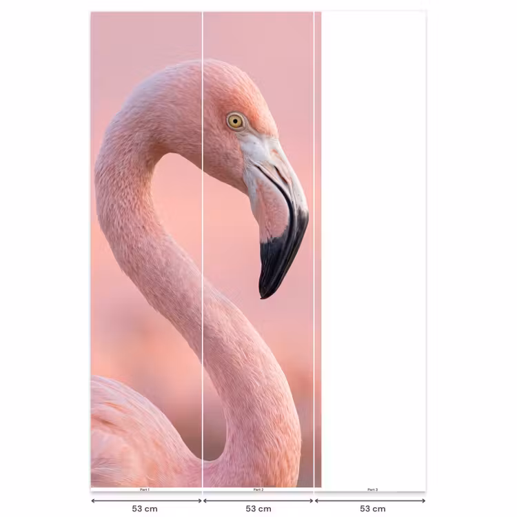 Flamingo - Portret - Roze Behang Vlies klein -USP_banen