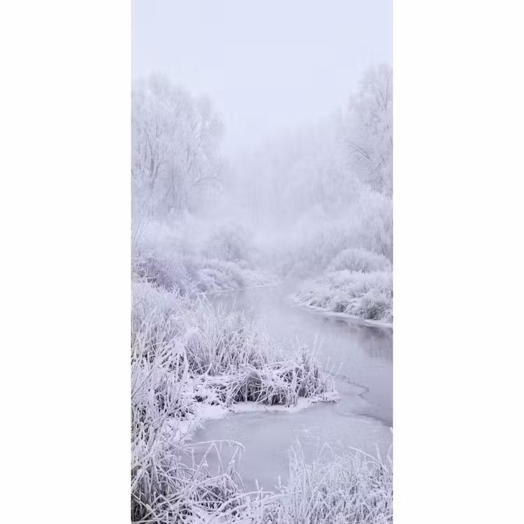 Rivier - Sneeuw - Bos - Winter - Schilderachtig Behang Vlies klein -3d_website