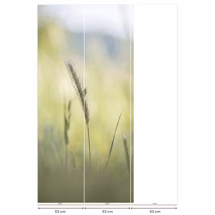 Graan - Aar - Natuur - Groen - Detail Behang Vlies klein -USP_banen