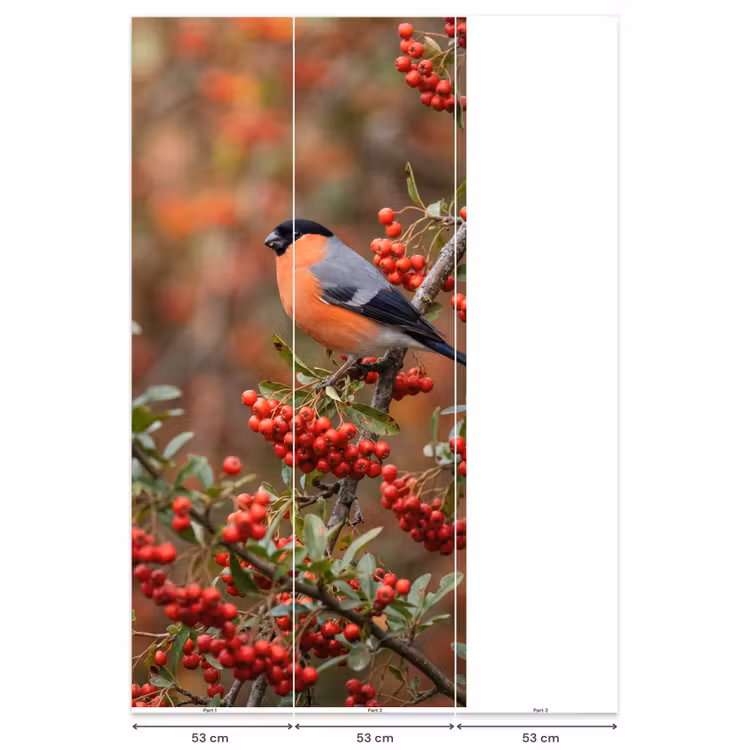 Goudvink - Bessen - Herfst - Natuur - Kleurrijk Behang Vlies klein -USP_banen