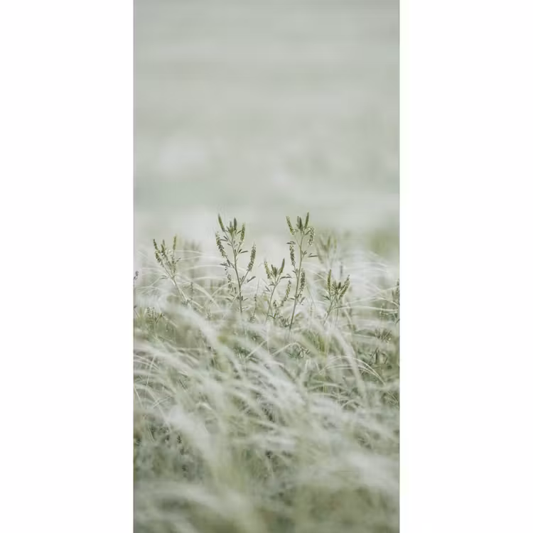 Grassen - Minimalistisch - Groen Behang Vlies klein -3d_website