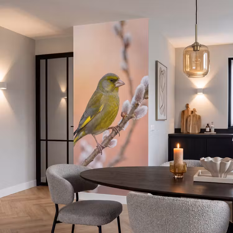 Groenling - Katjes - Lente - Natuur - Zacht Behang Vlies klein -sfeer3