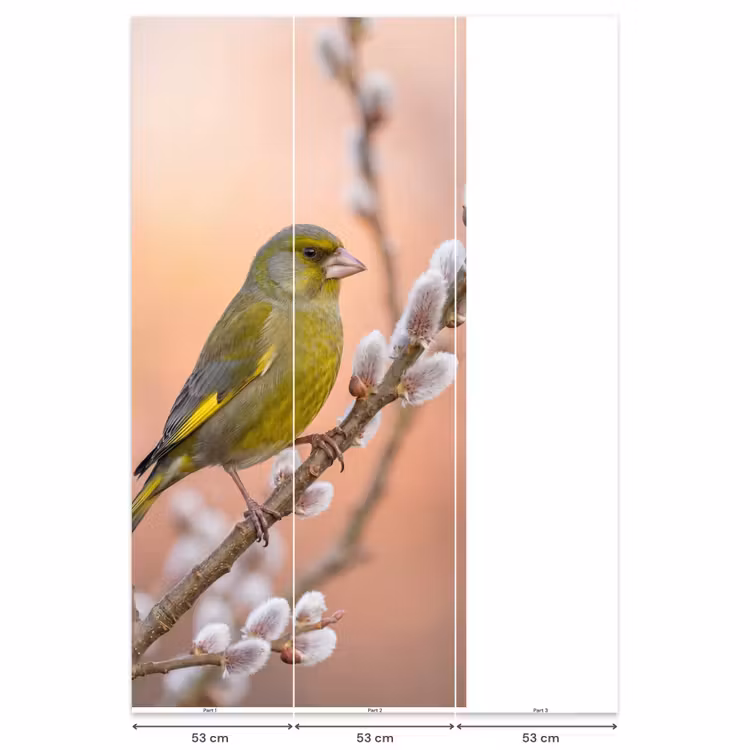 Groenling - Katjes - Lente - Natuur - Zacht Behang Vlies klein -USP_banen